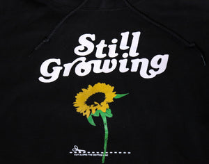 Original Sunflower Logo